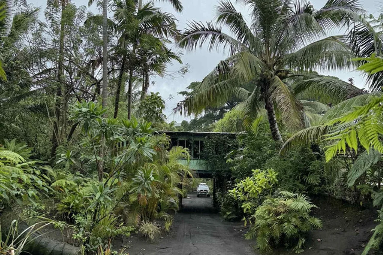 Jungle Oasis Bungalow — ภาพห้องพักและบรรยากาศ