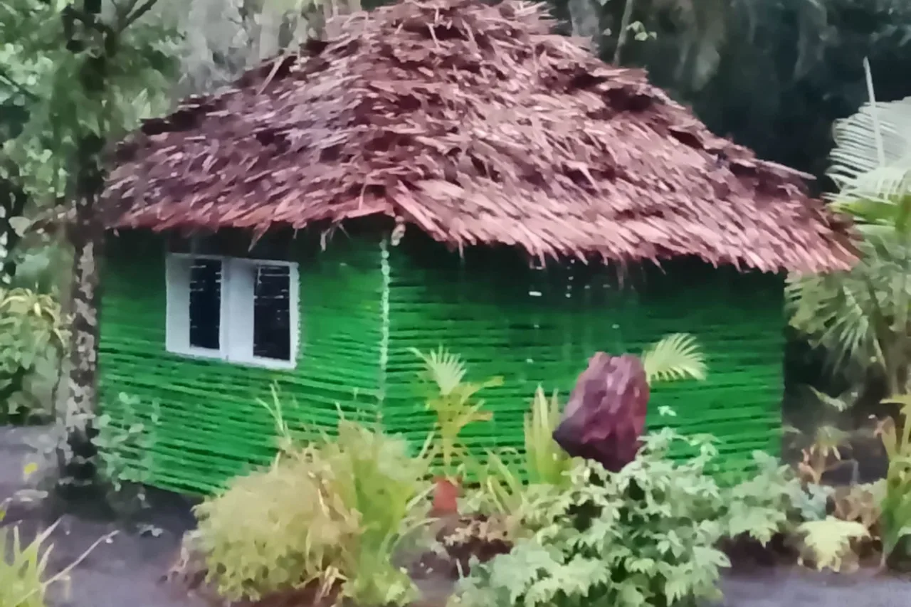 Jungle Oasis Bungalow — ภาพห้องพักและบรรยากาศ