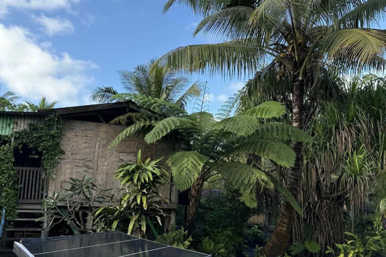 Jungle Oasis Bungalow — ภาพห้องพักและบรรยากาศ