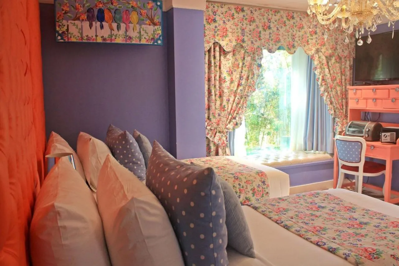 Kamiseta Hotel — ภาพห้องพักและบรรยากาศ