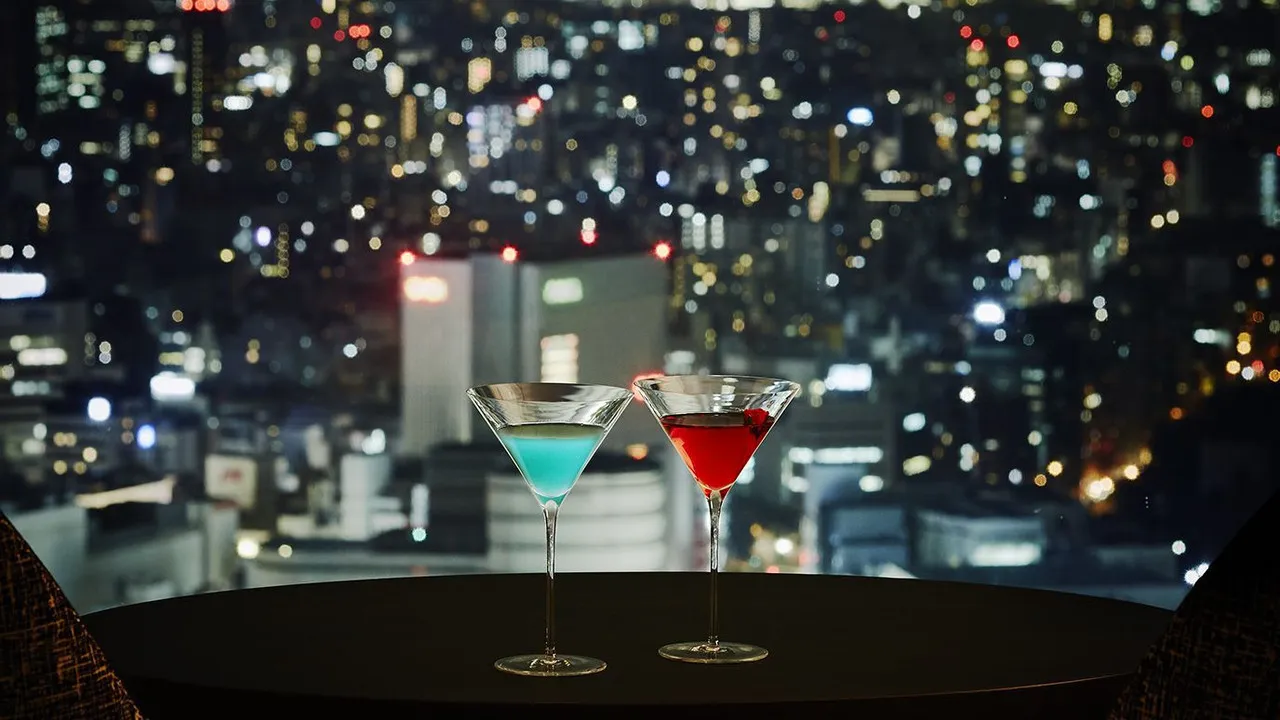 Keio Plaza Hotel Tokyo — rooms and atmosphere