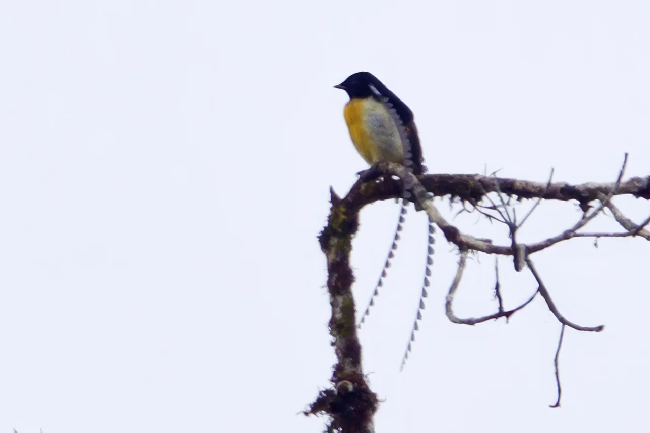 Kumul Lodge — ภาพห้องพักและบรรยากาศ