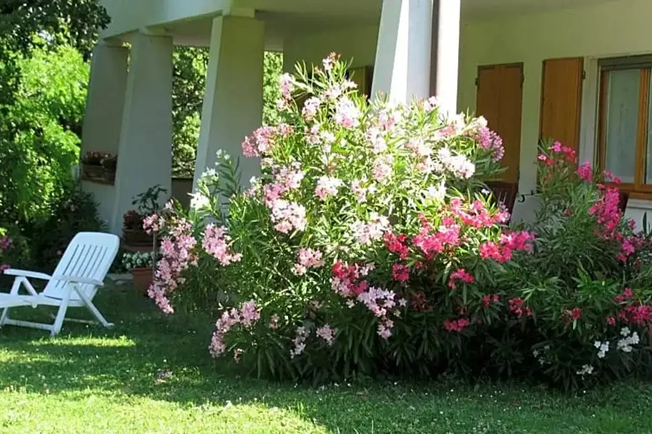 La Casa dei Boschi — ภาพห้องพักและบรรยากาศ