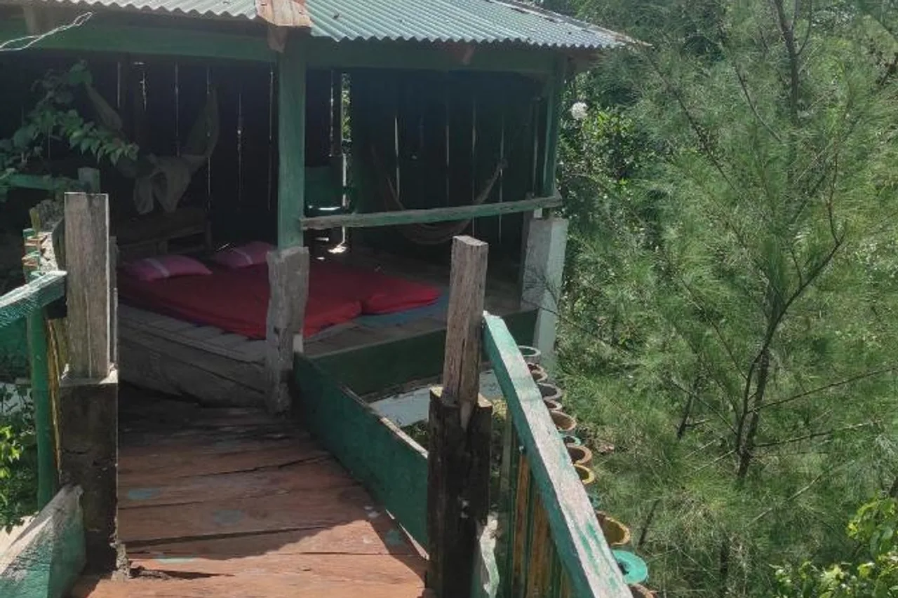 La Montagne Verte — ภาพห้องพักและบรรยากาศ
