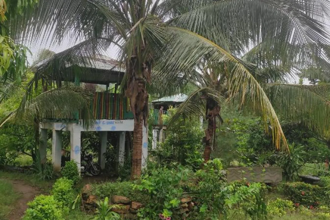 La Montagne Verte — ภาพห้องพักและบรรยากาศ