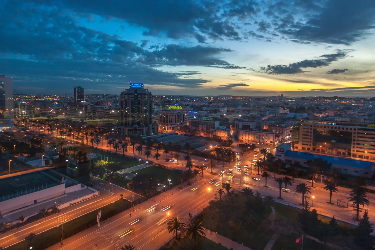 Laico Tunis Spa &amp; Conference Center — ภาพห้องพักและบรรยากาศ