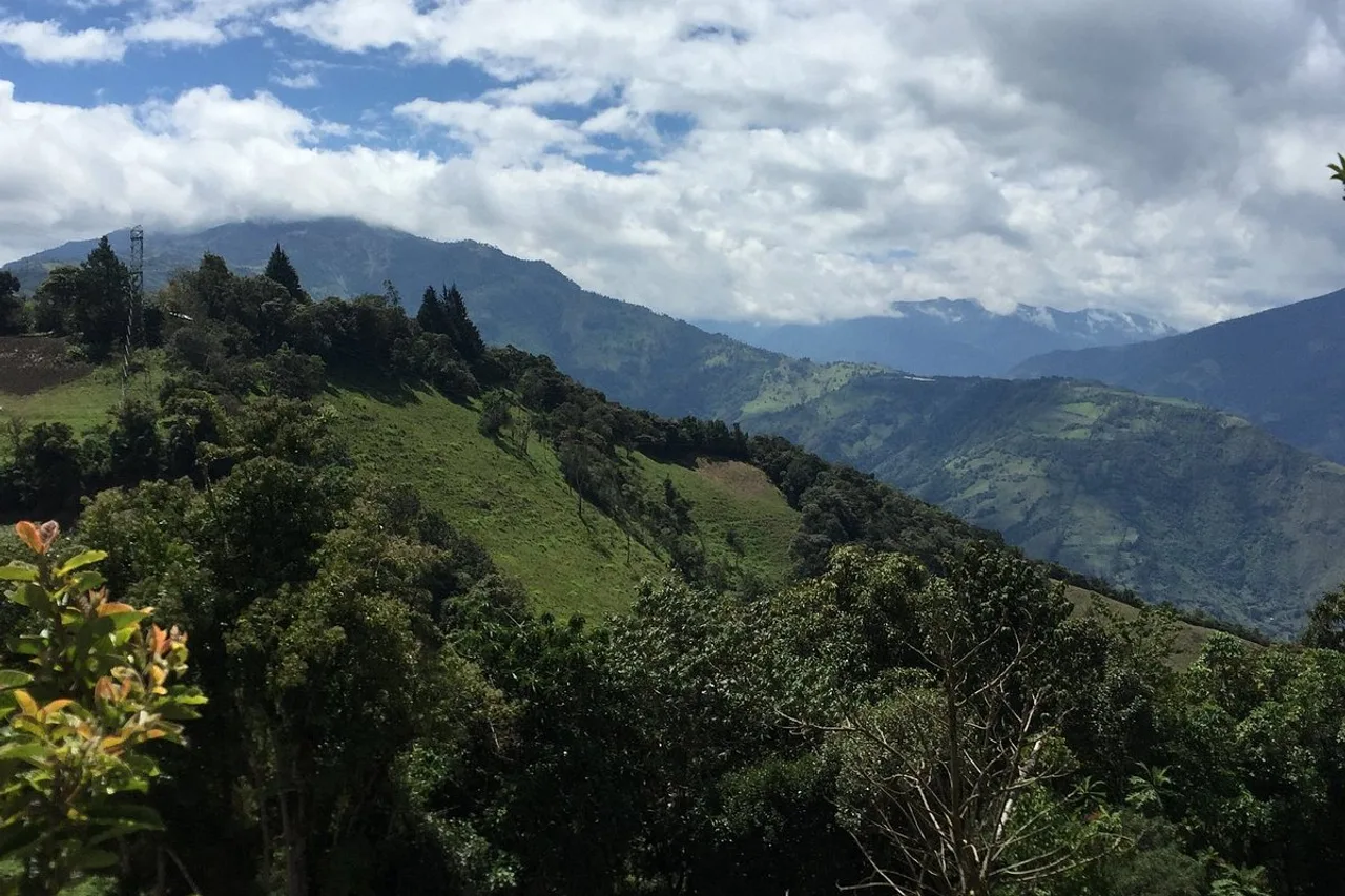 Las Orquideas Runtun Lodge — ภาพห้องพักและบรรยากาศ