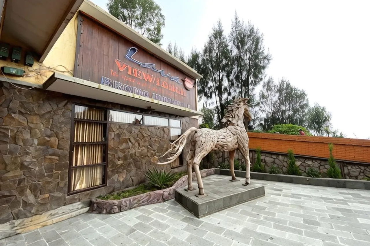Lava View Lodge — ภาพห้องพักและบรรยากาศ