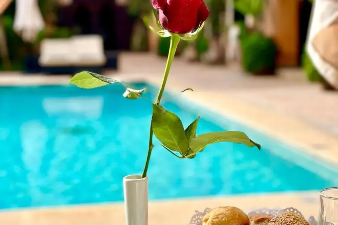 Les Jardins de la Koutoubia — rooms and atmosphere