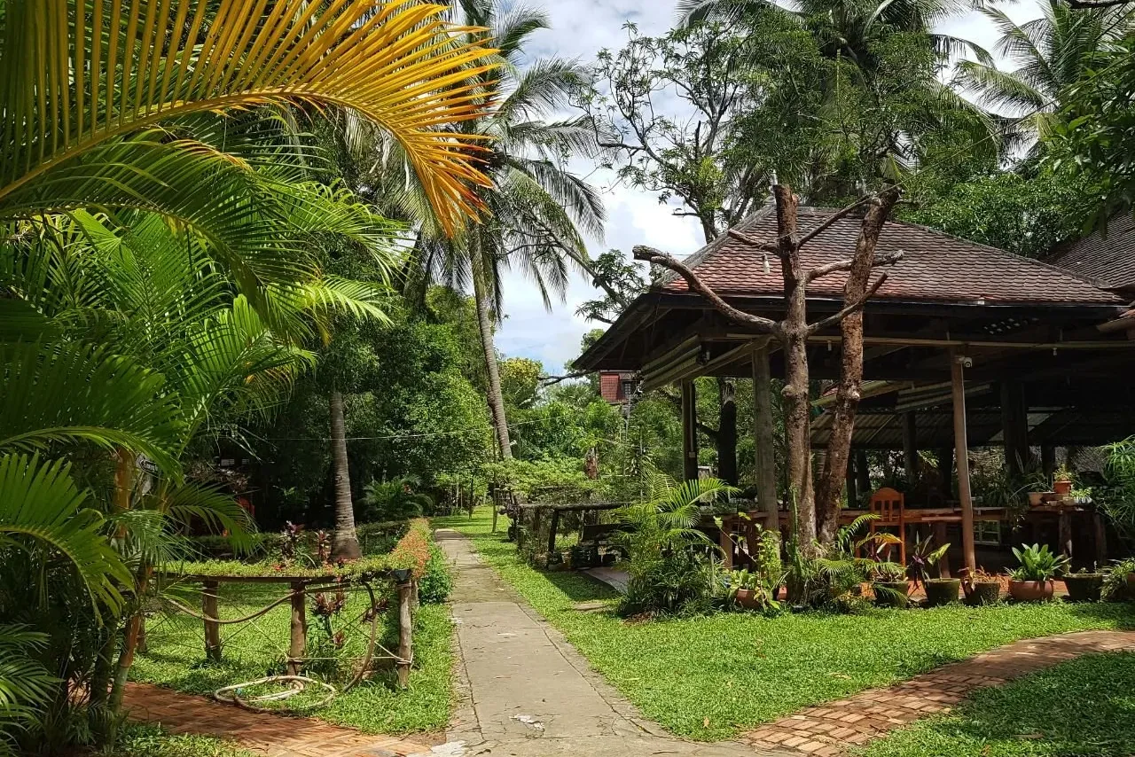 Les Manguiers — ภาพห้องพักและบรรยากาศ