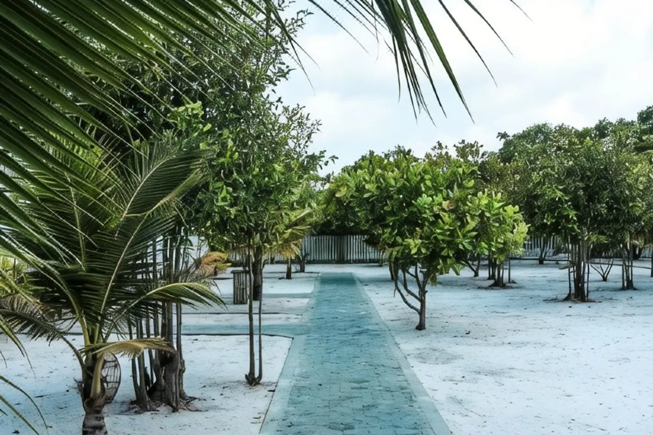 Long Set Resort — ภาพห้องพักและบรรยากาศ