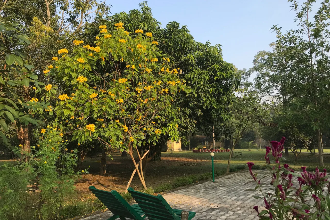 Lumbini Buddha Garden Resort — ภาพห้องพักและบรรยากาศ