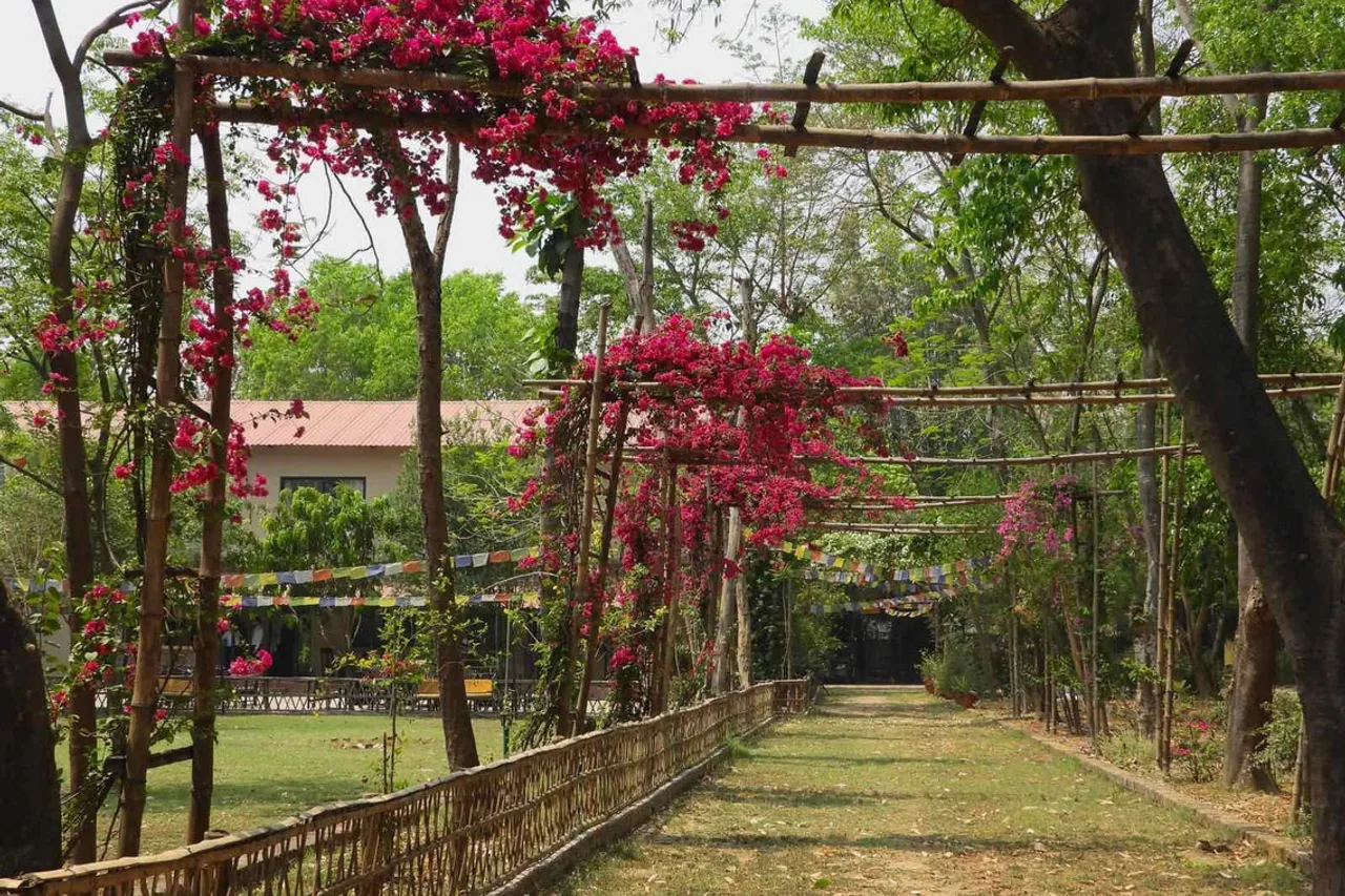 Lumbini Buddha Garden Resort — ภาพห้องพักและบรรยากาศ