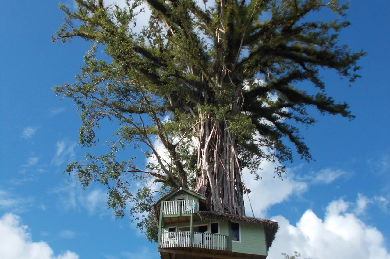 Lupe Sina Treesort — rooms and atmosphere