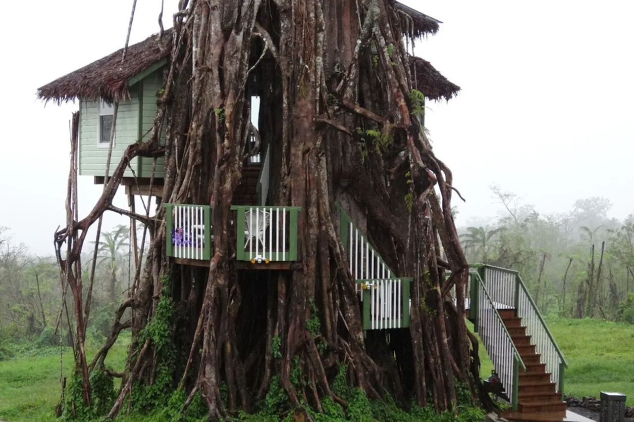 Lupe Sina Treesort — rooms and atmosphere