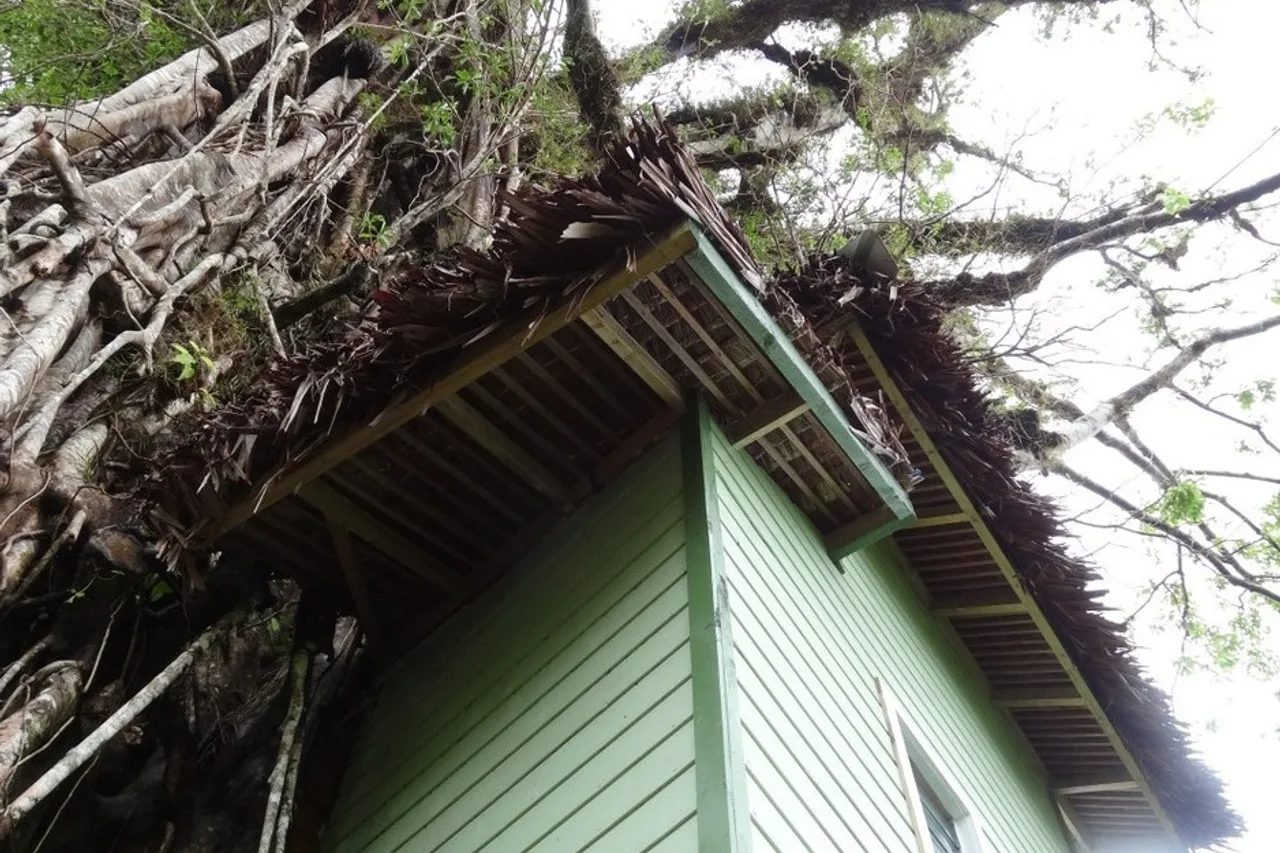 Lupe Sina Treesort — rooms and atmosphere