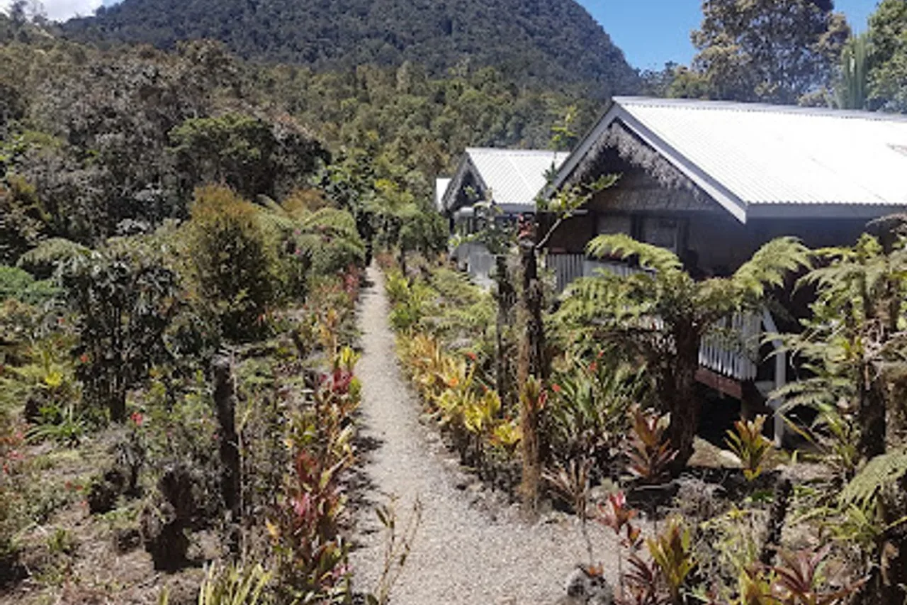 Magic Mountain Nature Lodge — ภาพห้องพักและบรรยากาศ