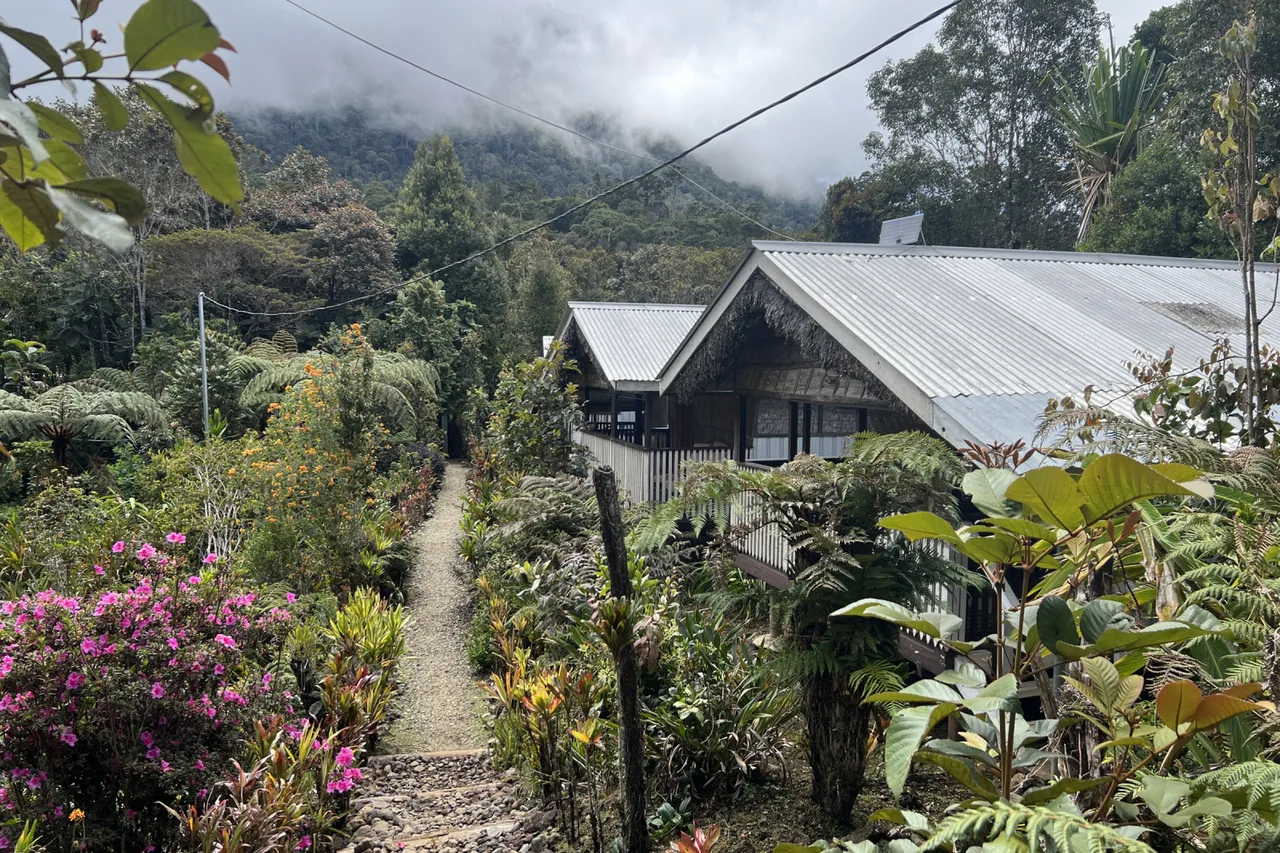 Magic Mountain Nature Lodge — ภาพห้องพักและบรรยากาศ
