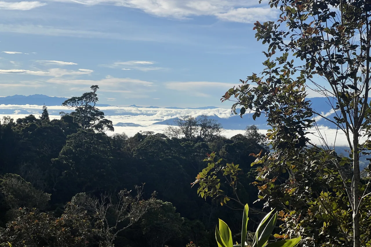 Magic Mountain Nature Lodge — ภาพห้องพักและบรรยากาศ