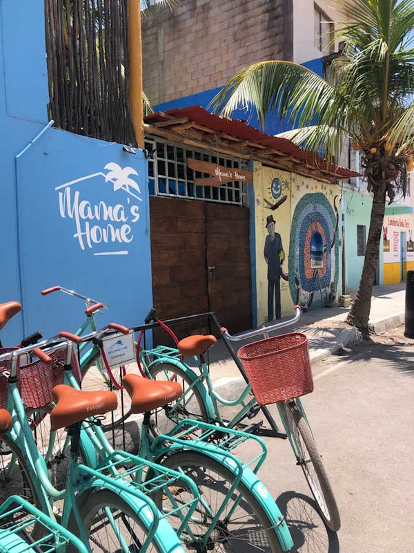 Mama's Home Hostel — ภาพห้องพักและบรรยากาศ