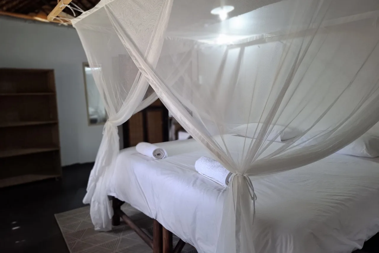 Mango Beach — ภาพห้องพักและบรรยากาศ
