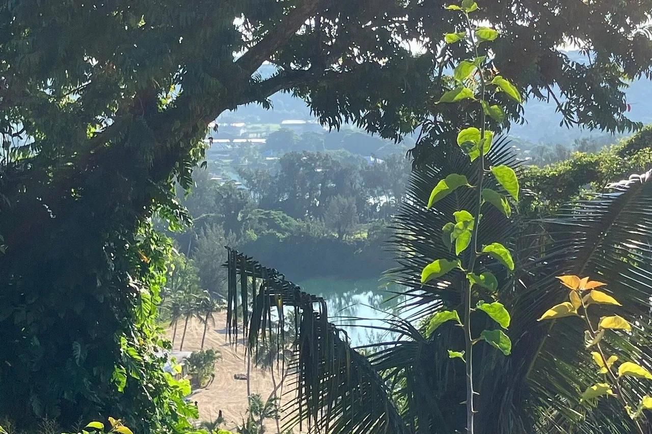 Mangoes Resort — ภาพห้องพักและบรรยากาศ
