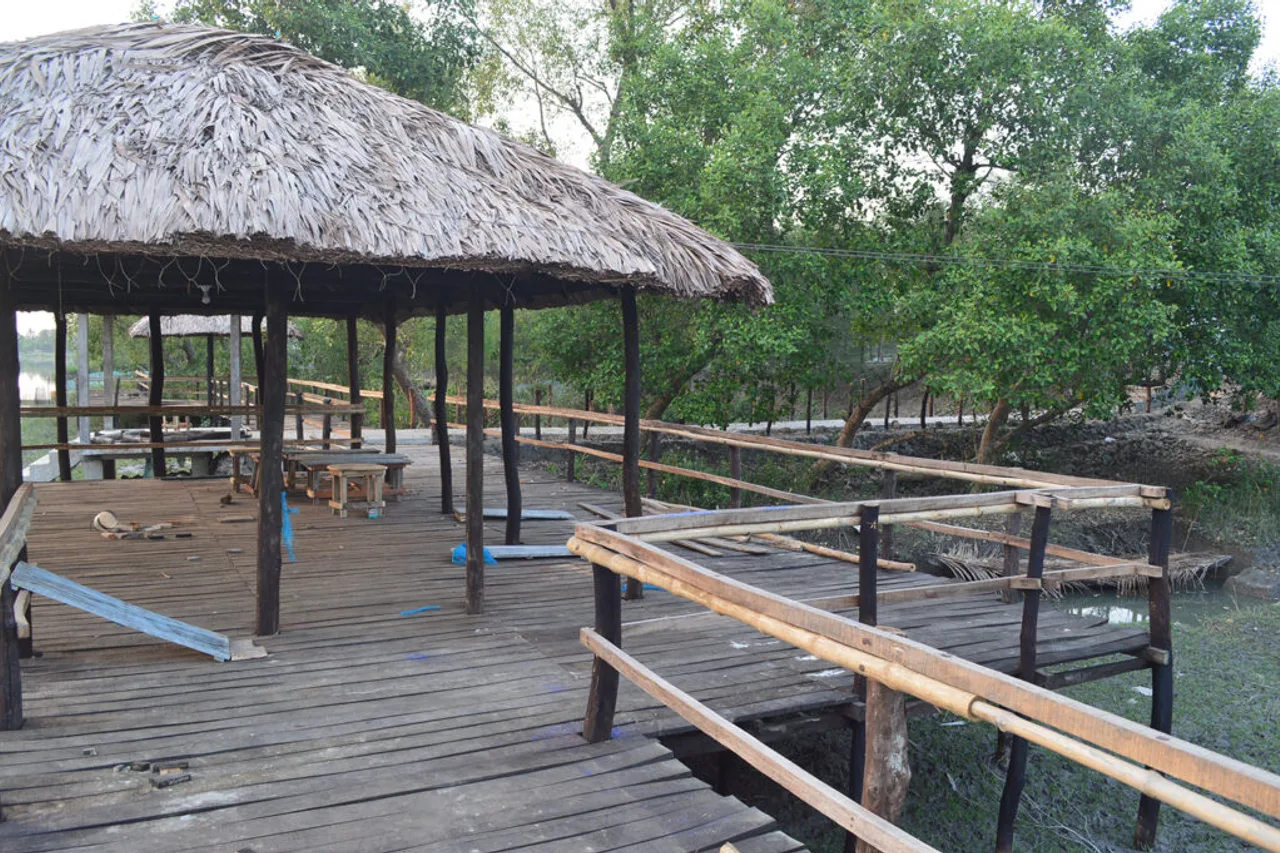 Mangrove Haven Resort — ภาพห้องพักและบรรยากาศ