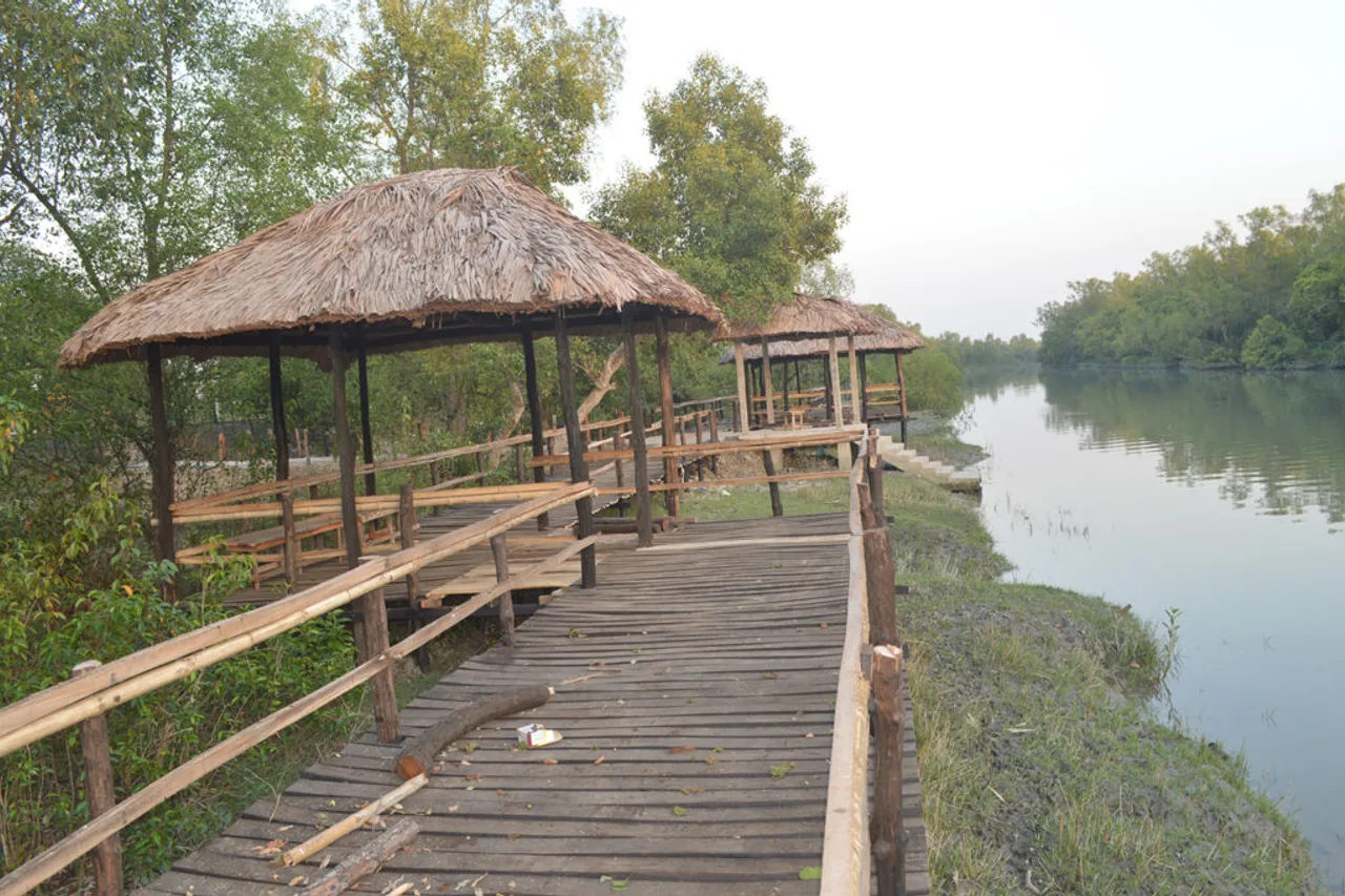 Mangrove Haven Resort — ภาพห้องพักและบรรยากาศ