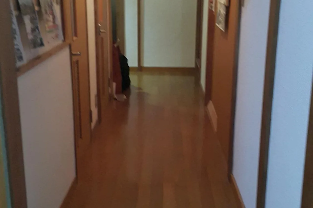 Matsumoto Backpackers — rooms and atmosphere