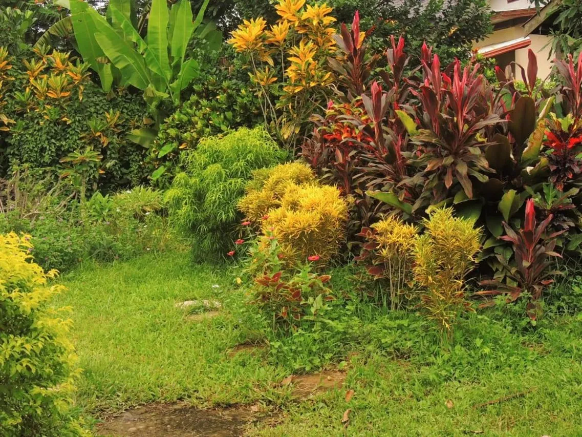Maylyn Guest House — rooms and atmosphere
