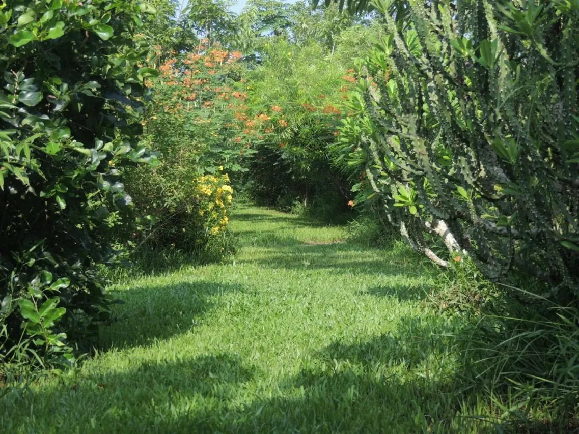 Maylyn Guest House — rooms and atmosphere