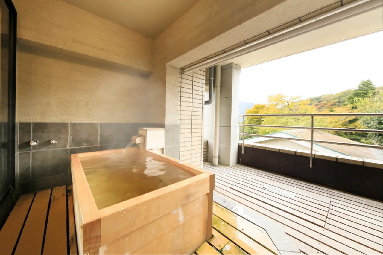 Merveille Hakone Gora — rooms and atmosphere