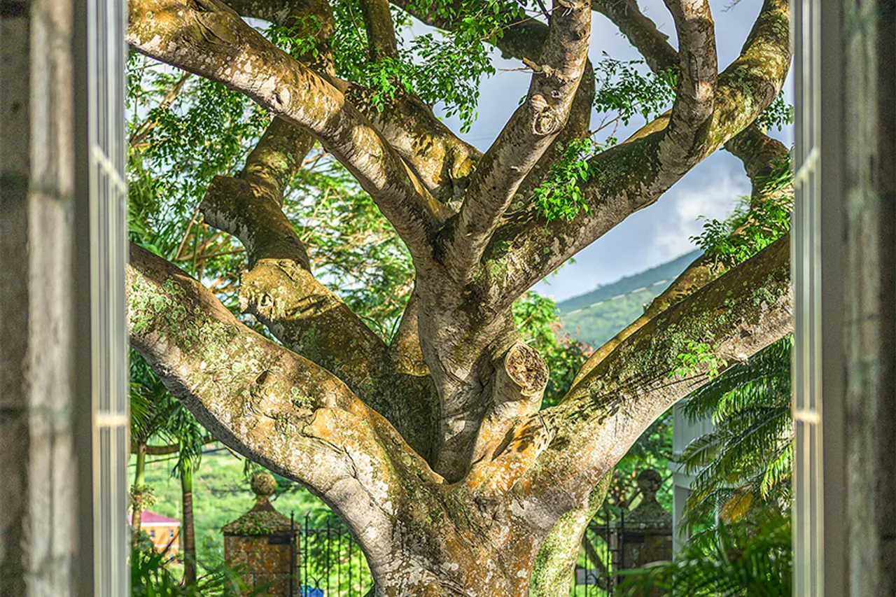 Montpelier Plantation & Beach — rooms and atmosphere