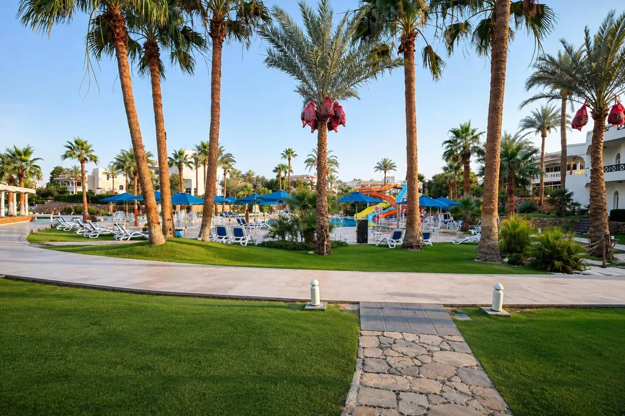 Naama Bay Hotel & Resort — ภาพห้องพักและบรรยากาศ