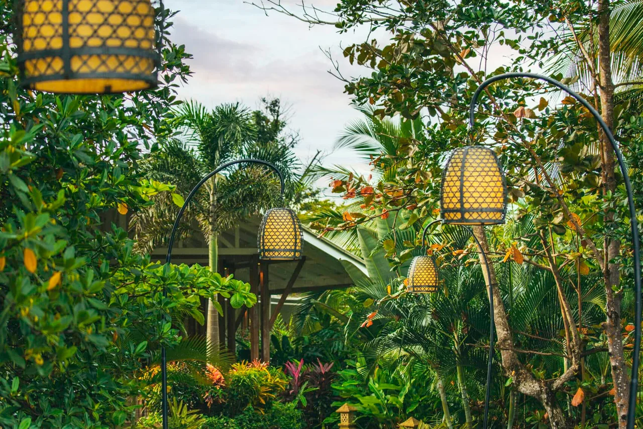 Nayara Bocas del Toro — ภาพห้องพักและบรรยากาศ