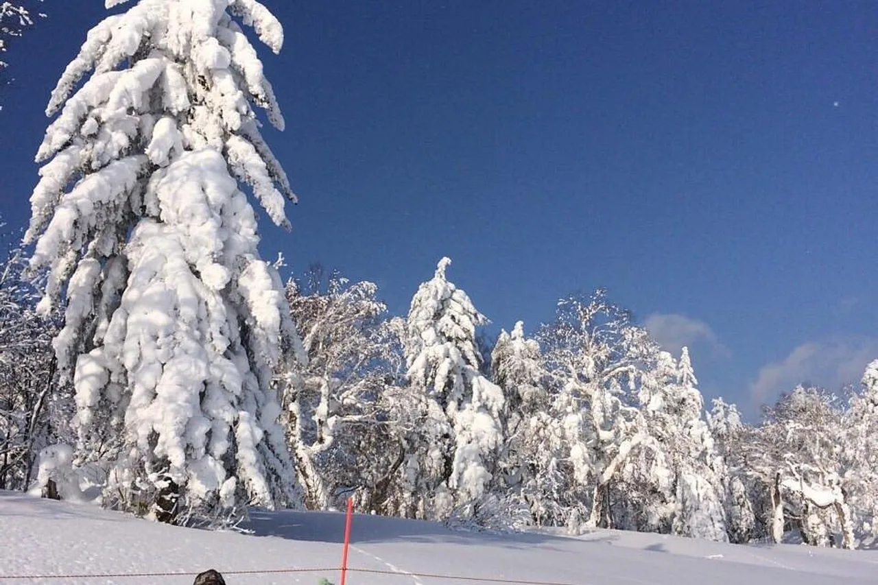 New Furano Prince Hotel — 酒店
