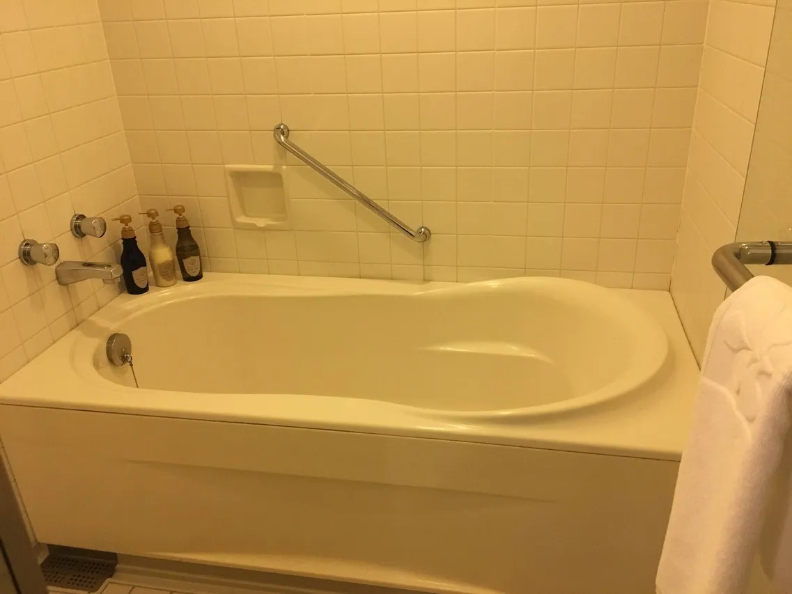 Hotel Nikko Kumamoto — rooms and atmosphere