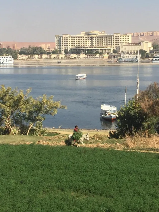 Nubian Holiday House Aswan — rooms and atmosphere
