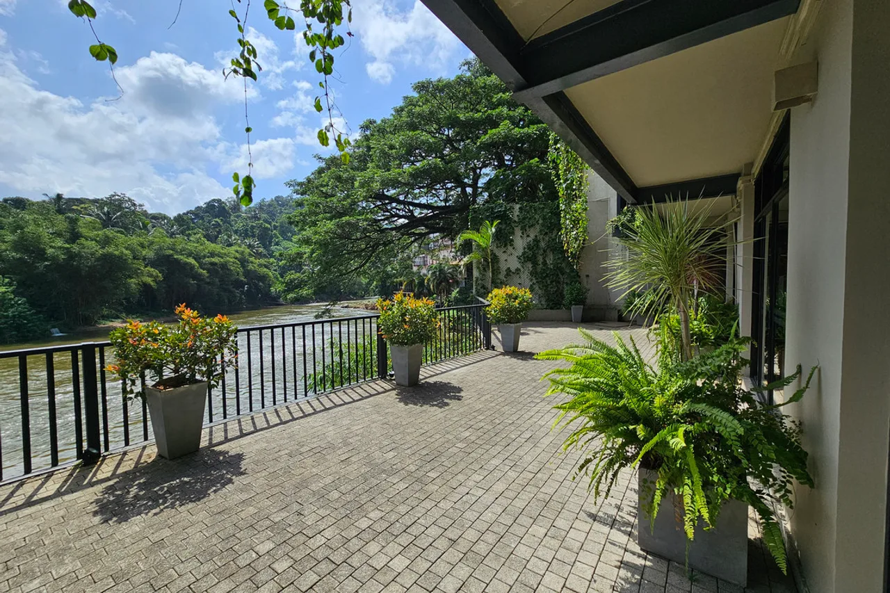 Oak Ray Regency — ภาพห้องพักและบรรยากาศ