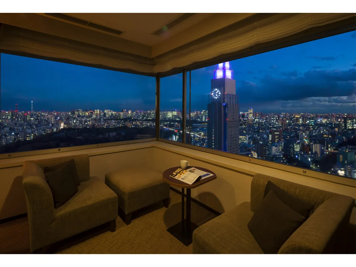 Odakyu Hotel Century Southern Tower — rooms and atmosphere