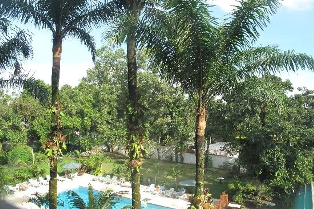 Olympic Palace Hotel — ภาพห้องพักและบรรยากาศ