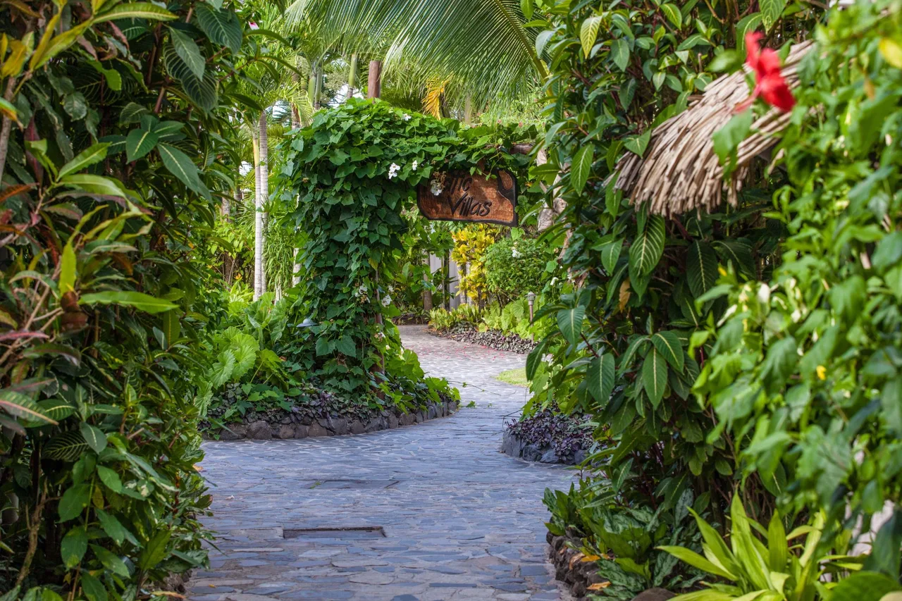 Pacific Resort Rarotonga — ภาพห้องพักและบรรยากาศ