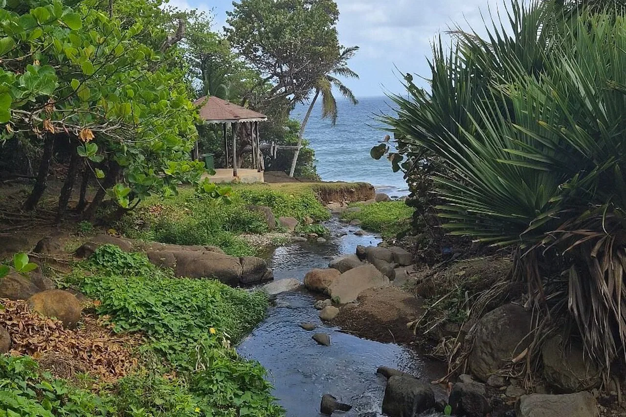 Pagua Bay House Oceanfront Cabanas — ภาพห้องพักและบรรยากาศ