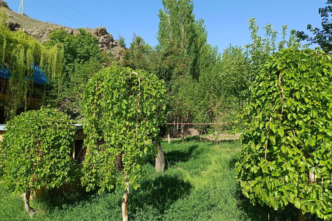 Pamir Lodge — ภาพห้องพักและบรรยากาศ