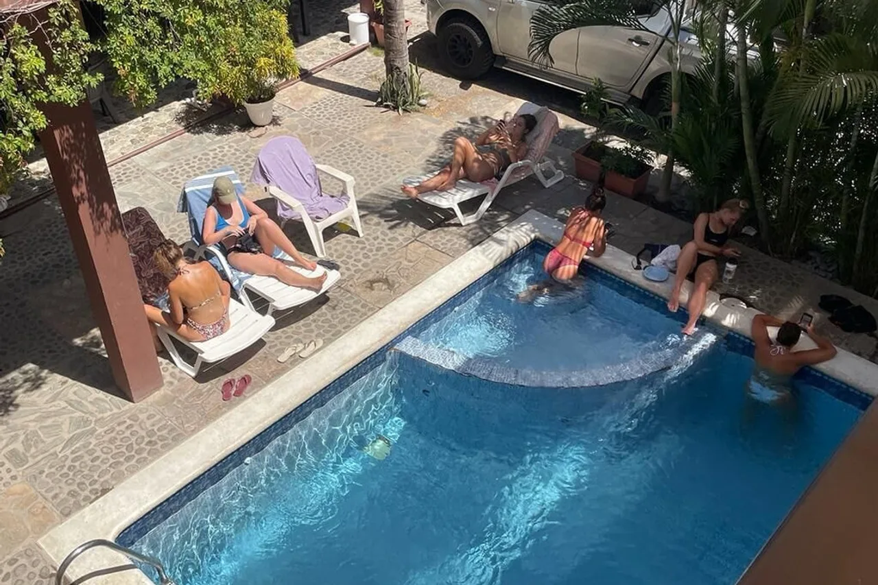 Papaya Lodge — ภาพห้องพักและบรรยากาศ