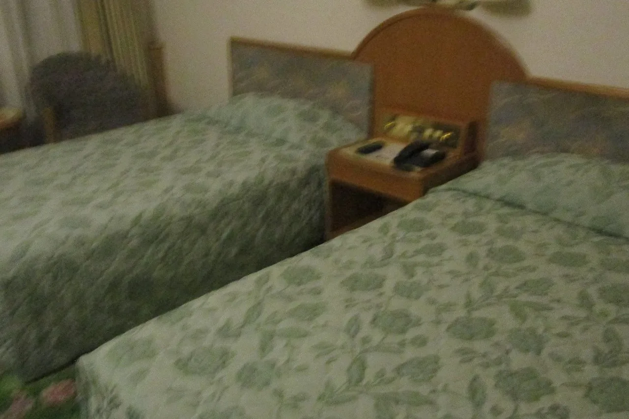 Pothonggang Hotel — ภาพห้องพักและบรรยากาศ