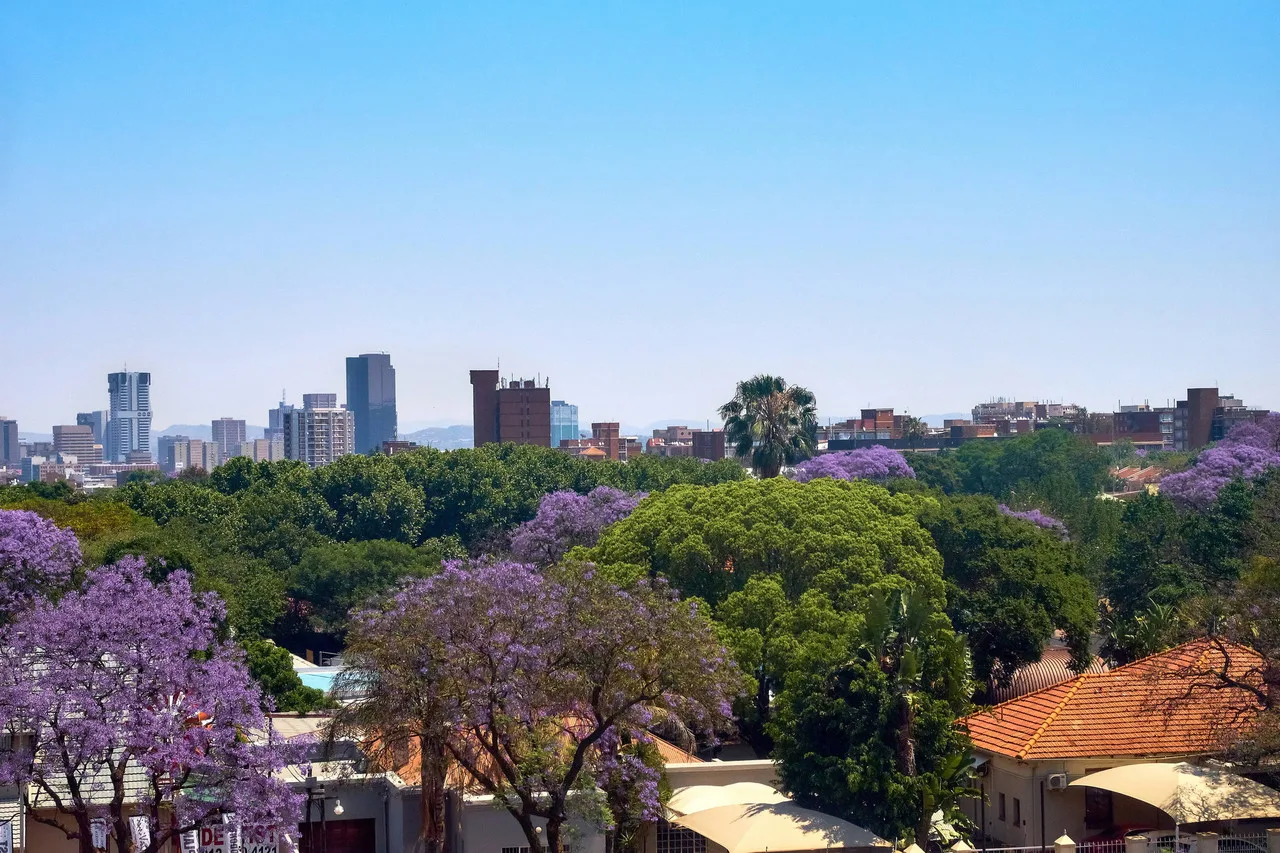 Protea Hotel by Marriott Pretoria Loftus Park — ภาพห้องพักและบรรยากาศ