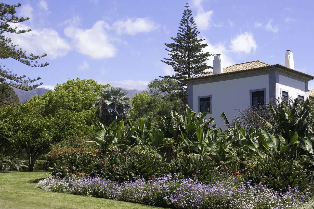 Quinta da Casa Branca — ภาพห้องพักและบรรยากาศ