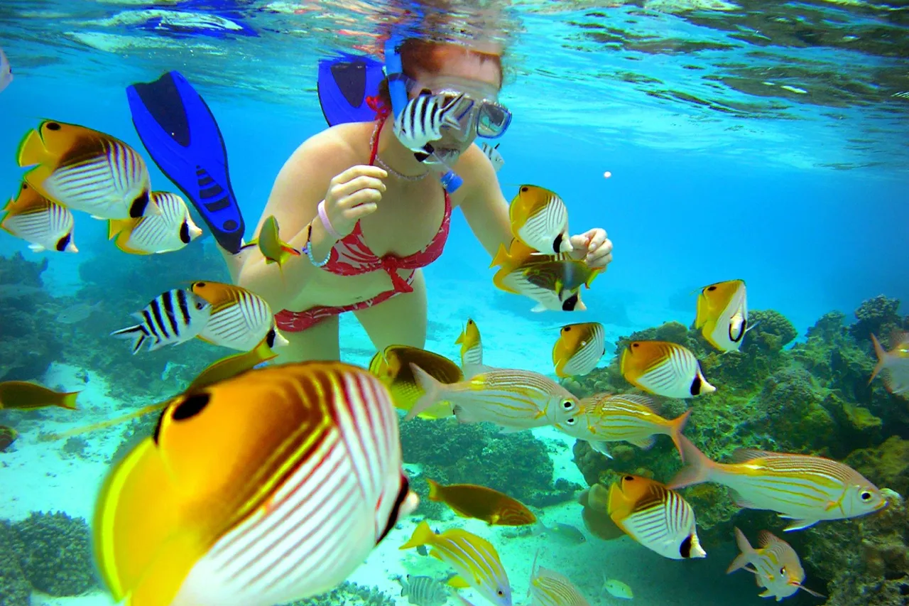 The Rarotongan Beach Resort &amp; Lagoonarium — ภาพห้องพักและบรรยากาศ
