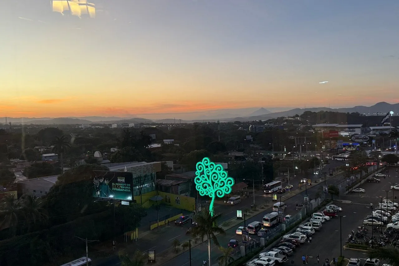 Real InterContinental Managua at Metrocentro Mall — ภาพห้องพักและบรรยากาศ